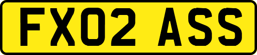 FX02ASS