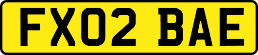 FX02BAE