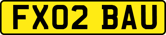 FX02BAU