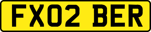 FX02BER