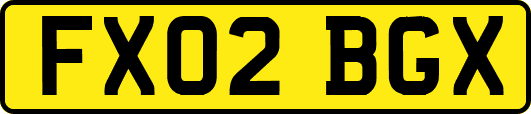 FX02BGX