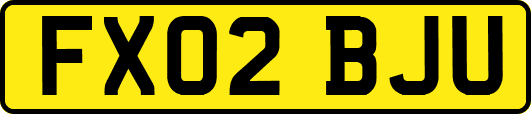 FX02BJU