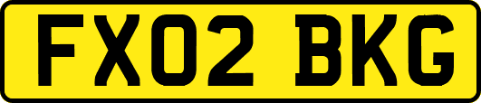 FX02BKG