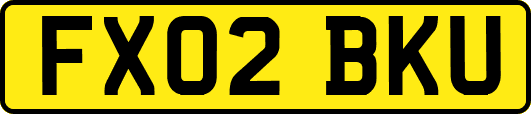 FX02BKU