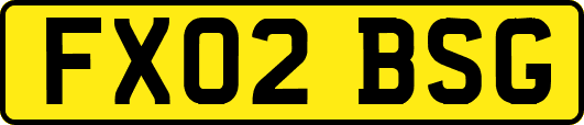 FX02BSG
