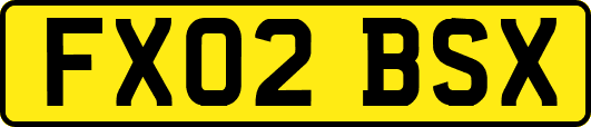 FX02BSX