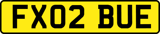 FX02BUE