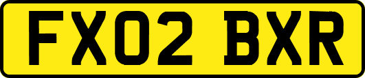 FX02BXR