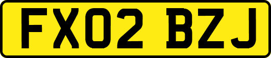 FX02BZJ