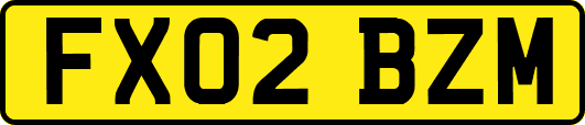 FX02BZM
