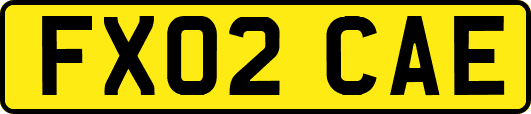 FX02CAE