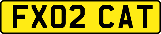 FX02CAT