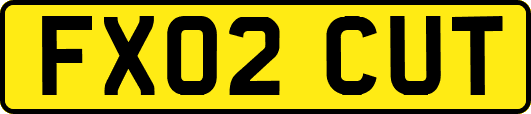 FX02CUT