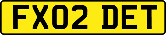 FX02DET