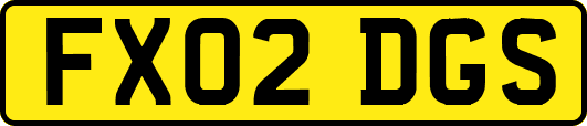 FX02DGS