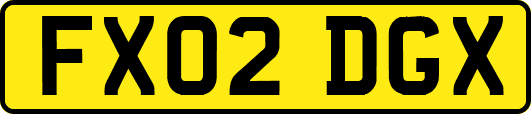 FX02DGX
