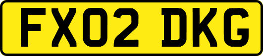 FX02DKG