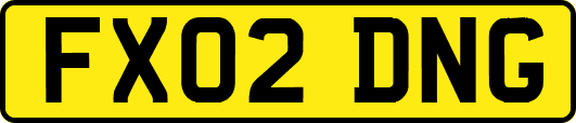 FX02DNG