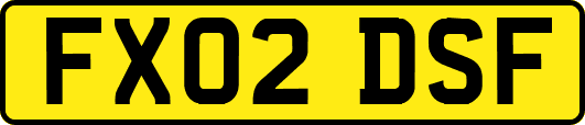 FX02DSF