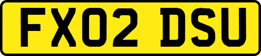 FX02DSU