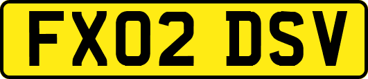 FX02DSV