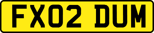 FX02DUM