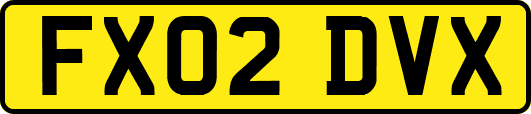 FX02DVX