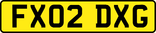 FX02DXG