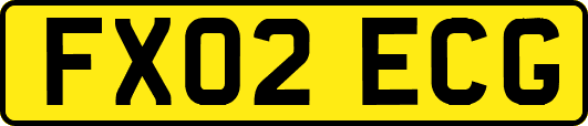 FX02ECG