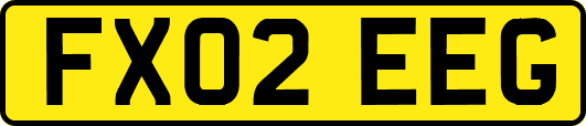 FX02EEG