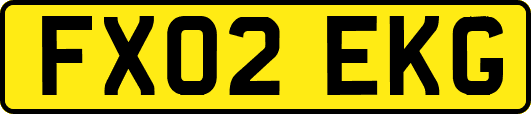 FX02EKG