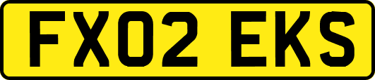 FX02EKS