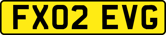 FX02EVG