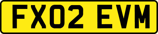 FX02EVM