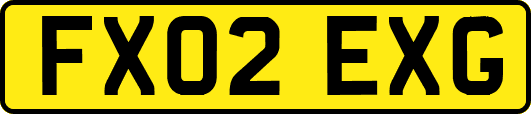 FX02EXG