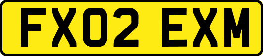 FX02EXM