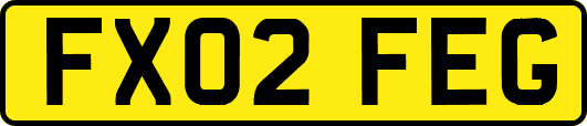 FX02FEG