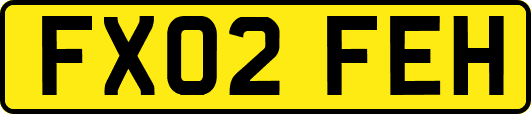 FX02FEH