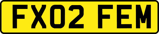 FX02FEM