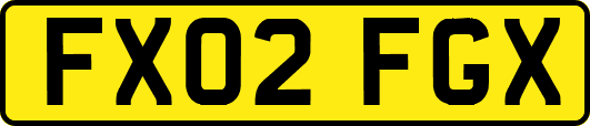 FX02FGX