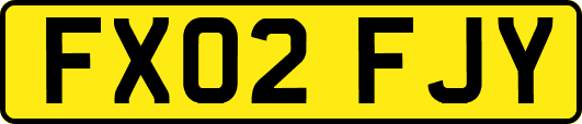 FX02FJY