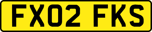 FX02FKS