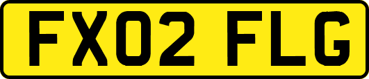 FX02FLG