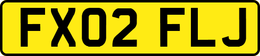 FX02FLJ