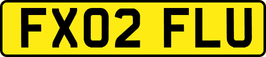 FX02FLU