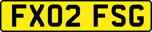 FX02FSG