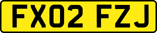 FX02FZJ