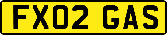 FX02GAS