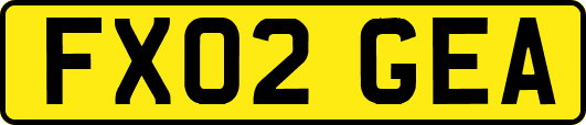 FX02GEA