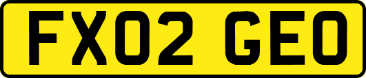 FX02GEO
